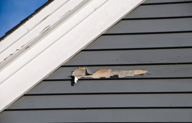 Best Hoarding Cleanup  in Orcdlands Estates, HI